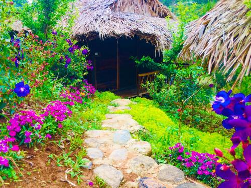 Hello Mu Cang Chai Homestay in Lao San Chay