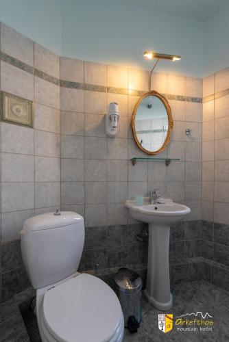 Arkefthos Mountain Hotel - image 8
