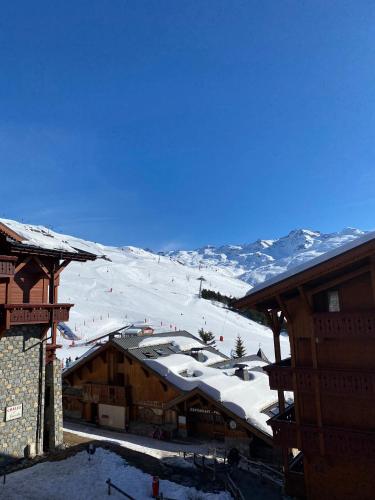 View, Le Chamois des Alpages de Reberty ski au pied in Saint-Martin-de-Belleville