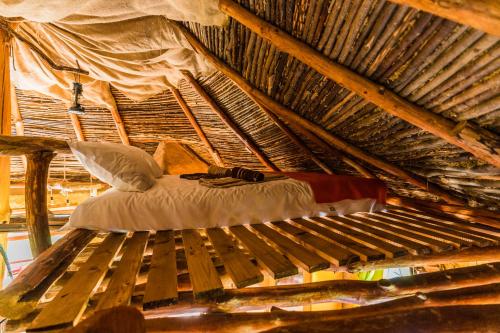 Viewtopia The Secret Land Viewtopia The Secret Land