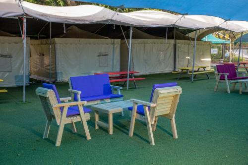 편의 시설/서비스, 더 캠핑 사이트 하마트 가데르 (The Camping Site Hamat Gader) in 셸하 고안
