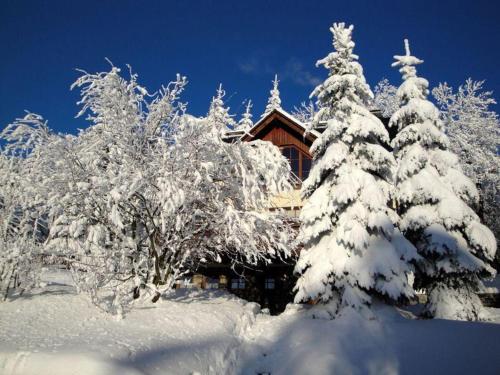 Ferienhaus-Bergtraum-Ferienwohnung-Lilli - image 14