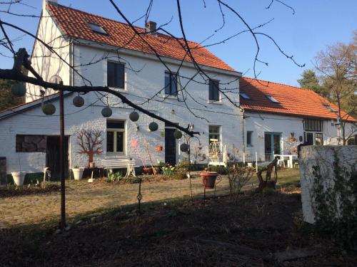 Slaaphuisje Het vliegend varken - Chambre d'hôtes - Genk