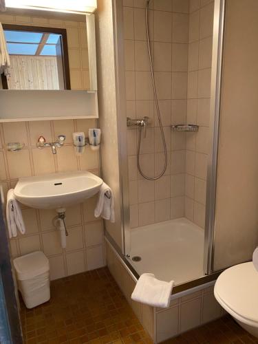 Hotel Steinbock - image 5