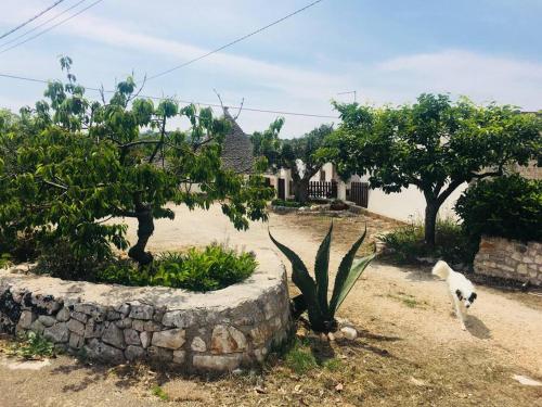 Trullo House