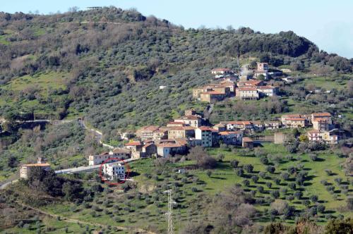 Accommodation in Ogliastro Cilento