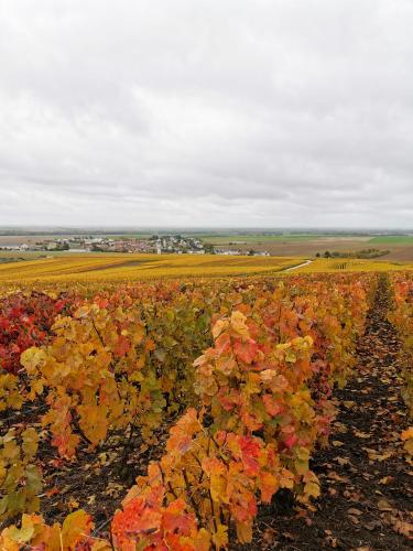 Le clos du moulin