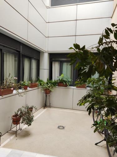  APARTAMENTO EL REFUGIO in Córdoba