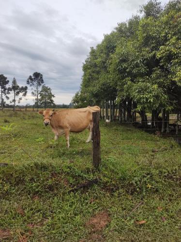 HOSPEDAGEM LA NO SITIO