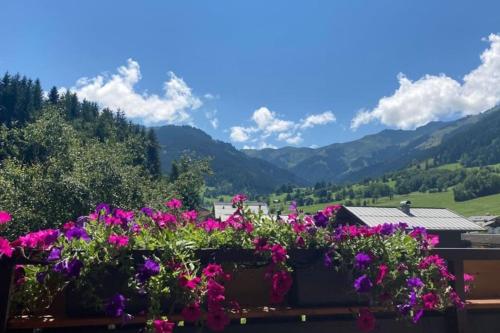  Mountain View Apartment in Maria Alm