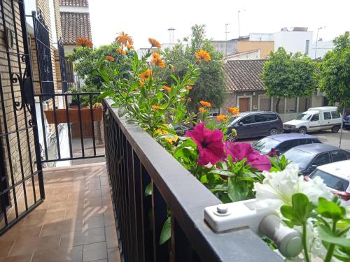 Casa Violeta, Córdoba