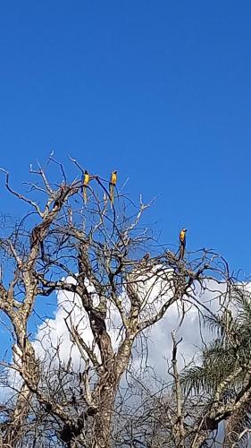 Villa de Assis Suítes