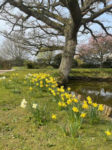 The Hayloft gîte à louer Hassocks