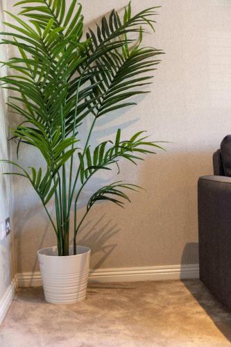 บริการและสิ่งอำนวยความสะดวก, London Gate No1 - Donnini Apartments in คิลมาร์นอค