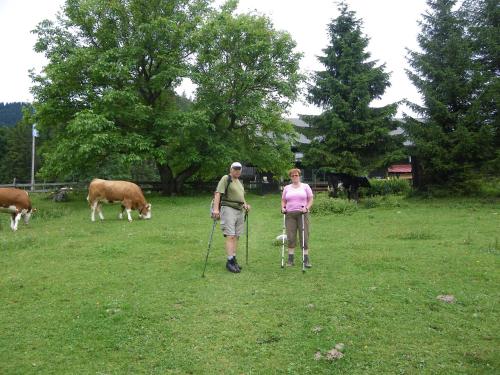 運動及活動, 沃爾夫瑞維爾公寓 (Wolfs Revier) in 拉肯賀夫岩奧特舒耶