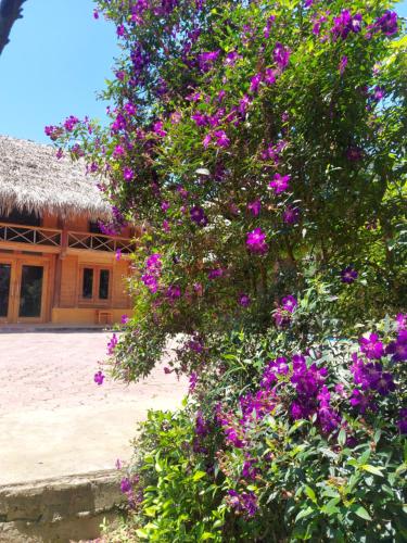 Flower hmong homestay in Bac Ha (Lao Cai)
