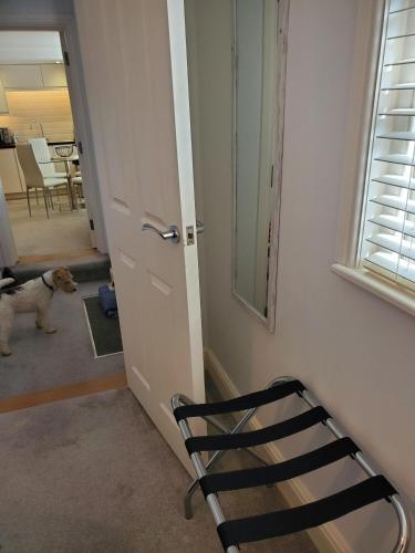 Picture of Ipswich Town Centre Apartment 5