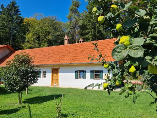 Turistična kmetija Hiša ob gozdu pri Ptuju