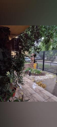 Petit Jardin