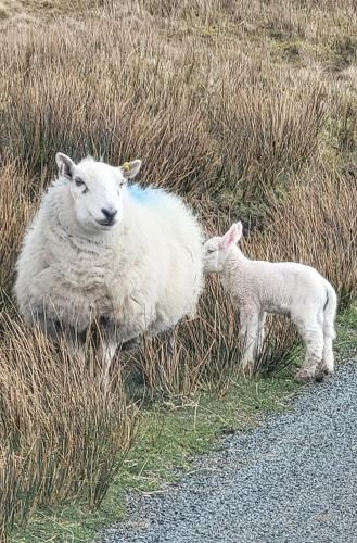 An Cnoc Bed & Breakfast