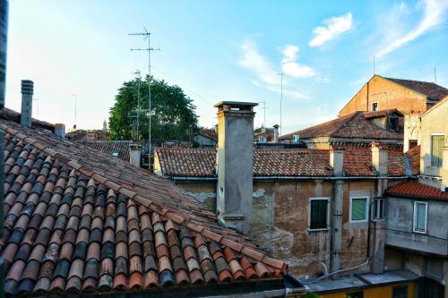 Foresteria Levi - image 11