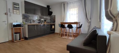 Résidence Romains - 1G - hébergements classés avec garage, Strasbourg