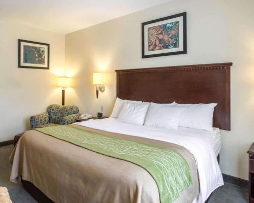 Quality Inn Donaldsonville - Gonzales in Donaldsonville, USA