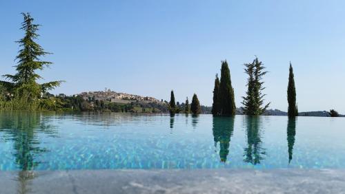 Ideal BnB - Accommodation - Saint-Paul-de-Vence