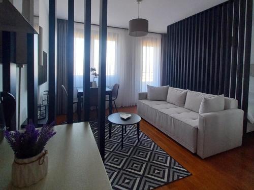 Apartman Studio Diamondlux Vrnjačka Banja - Apartment