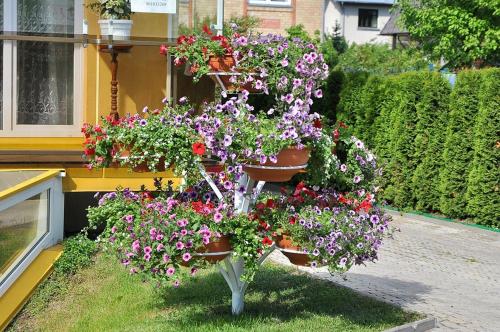 Justinos Vila - image 2