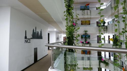 巴黎FC酒店  巴黎FC酒店