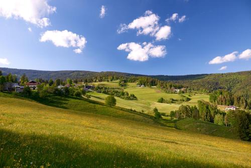 Bungalows Rogla - image 5
