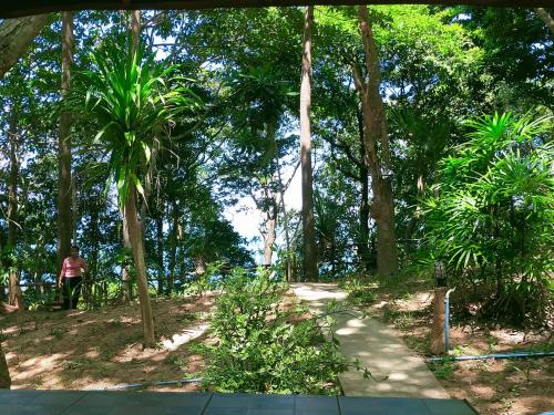 Jungle Hill Beach Bungalow