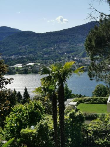  Casa le palme -Montagnola, Pension in Collina dOro