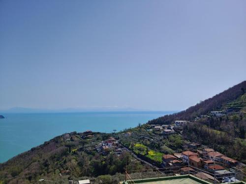 Amalfi Coast, Positano, Sorrento, Capri, Garden, Villa Carcara in Sant' Agnello
