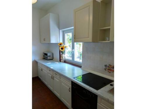 Apartment Gracijana in Buici
