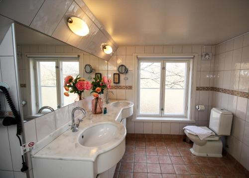 Riddersviks Herrgård - image 7