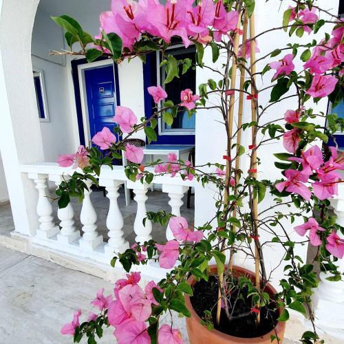 Dreams Bodrum otel - image 4