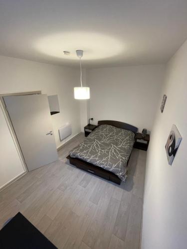 Superbe appartement rénové au centre de Forbach