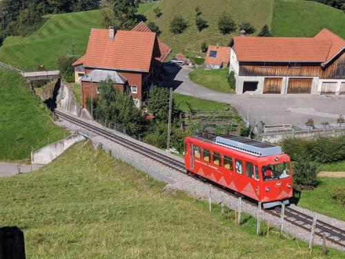 Ferienhaus Haus im Garten