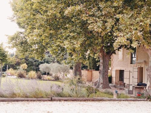 Gite du Mas de la Finière ,avec SPA intérieur - Location saisonnière - Châteaurenard