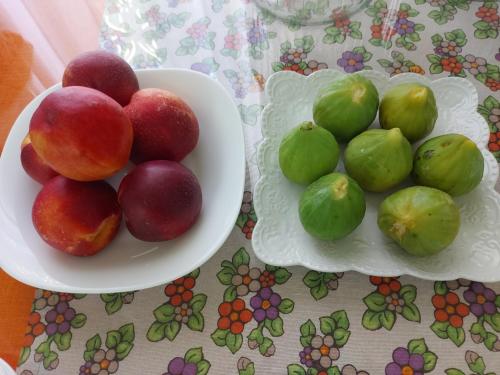 B&B Civico 11 B&B Civico 11