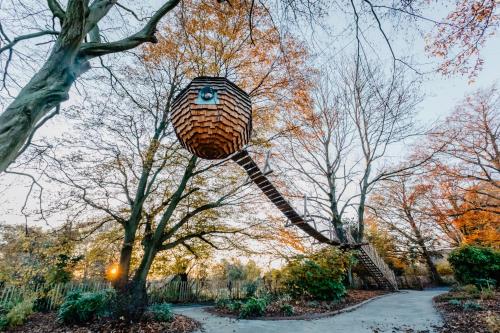 . Cabane suspendue