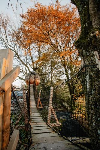Cabane suspendue in Amfroipret