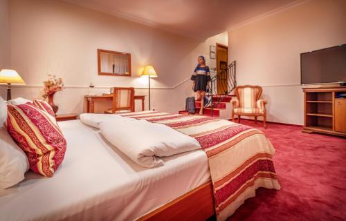350513183 Hotel Capital with private wellness