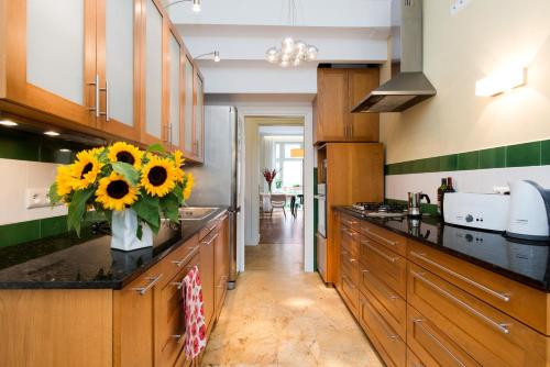 Style4rent Sunny Old Town Apartments, Cracovie (photo 5)