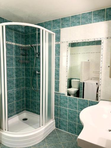 One-Bedroom Apartment image 2