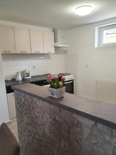 virtuve, Família Apartman Cserkeszőlő (Familia Apartman Cserkeszolo) in Cserkeszőlő