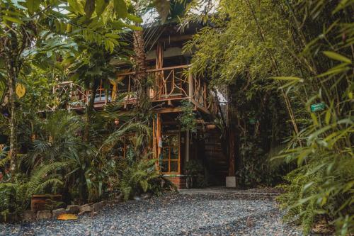 Ieeja, Hostal Las Palmas in Puyo