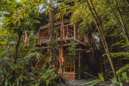Hostal Las Palmas in Puyo